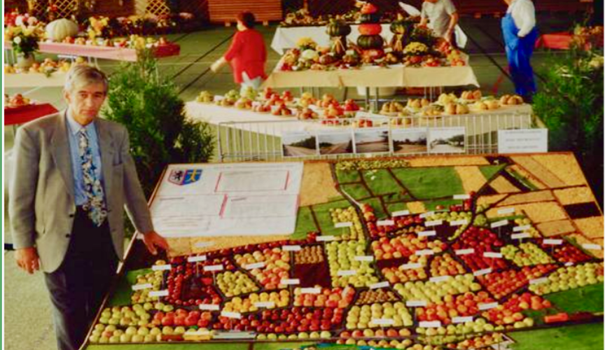 Producteurs de Fruits : représentation du village de Schwindratzheim