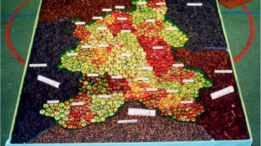 Producteurs de Fruits : représentation du canton de Hochfelden